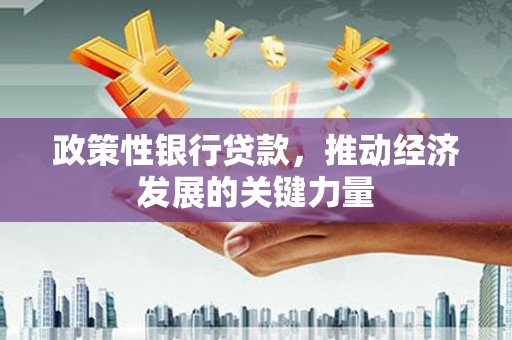 枋寮政策性银行贷款，推动经济发展的关键力量
