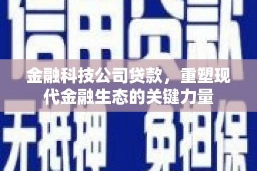 枋寮金融科技公司贷款，重塑现代金融生态的关键力量