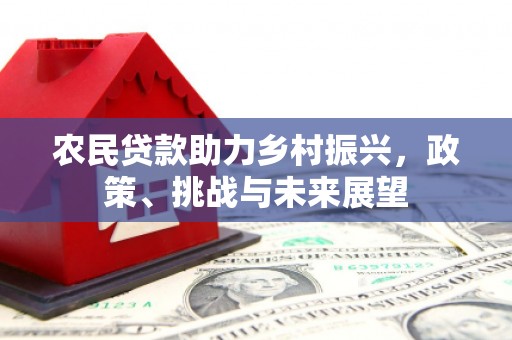 枋寮农民贷款助力乡村振兴，政策、挑战与未来展望