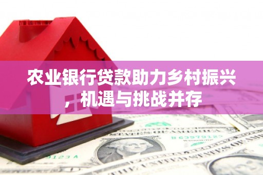 枋寮农业银行贷款助力乡村振兴，机遇与挑战并存
