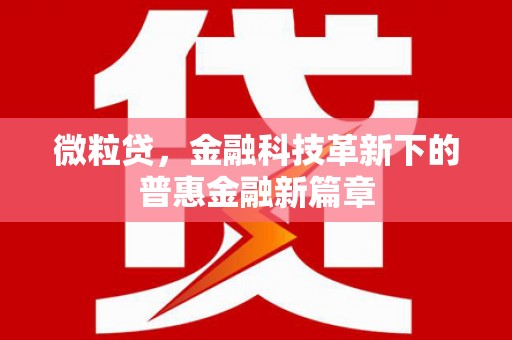 枋寮微粒贷，金融科技革新下的普惠金融新篇章