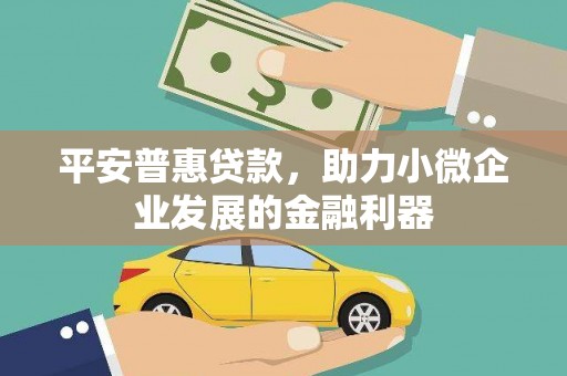 枋寮平安普惠贷款，助力小微企业发展的金融利器