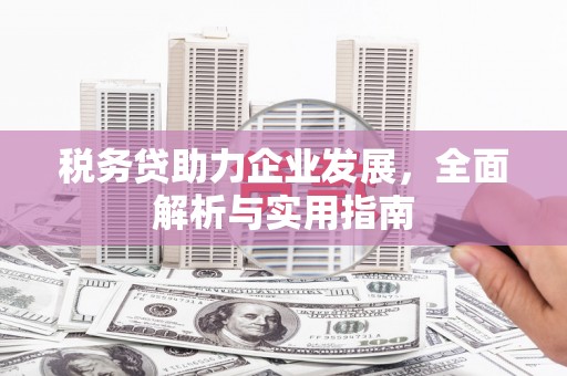 枋寮税务贷助力企业发展，全面解析与实用指南