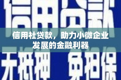 枋寮信用社贷款，助力小微企业发展的金融利器