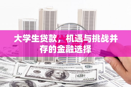 枋寮大学生贷款，机遇与挑战并存的金融选择
