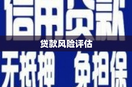 枋寮贷款风险评估