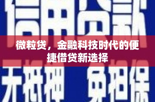 枋寮微粒贷，金融科技时代的便捷借贷新选择