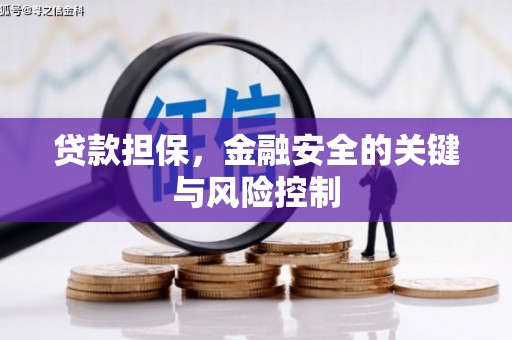 枋寮贷款担保，金融安全的关键与风险控制