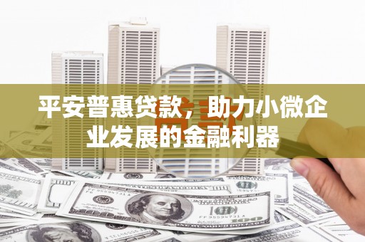 枋寮平安普惠贷款，助力小微企业发展的金融利器