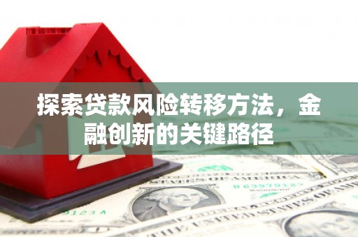 枋寮探索贷款风险转移方法，金融创新的关键路径