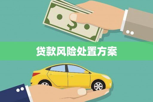 枋寮贷款风险处置方案