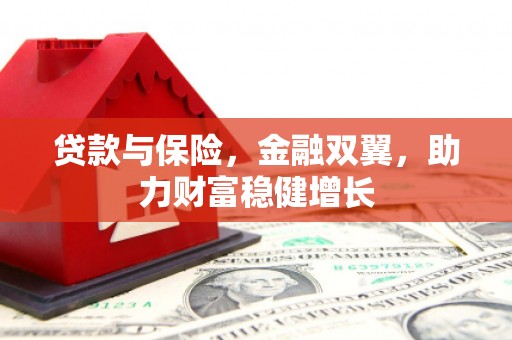 枋寮贷款与保险，金融双翼，助力财富稳健增长