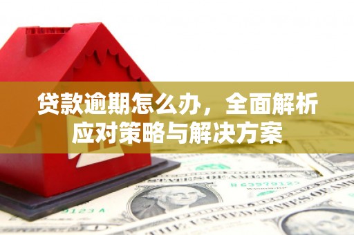 枋寮贷款逾期怎么办，全面解析应对策略与解决方案