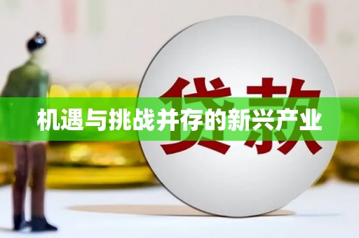 枋寮机遇与挑战并存的新兴产业