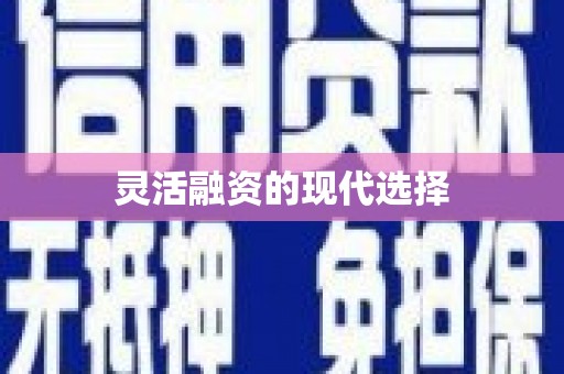 枋寮灵活融资的现代选择