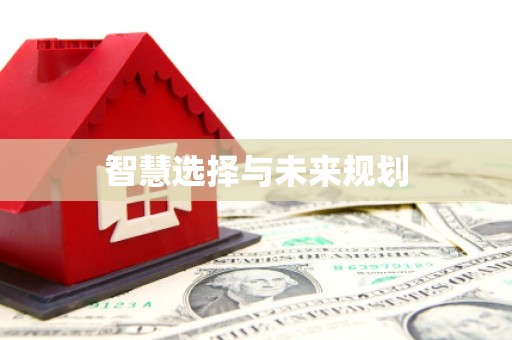 枋寮智慧选择与未来规划