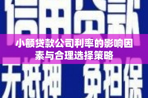 枋寮小额贷款公司利率的影响因素与合理选择策略
