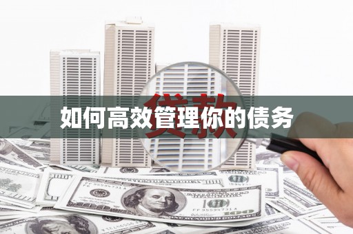 枋寮如何高效管理你的债务