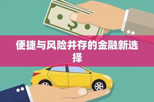 枋寮便捷与风险并存的金融新选择