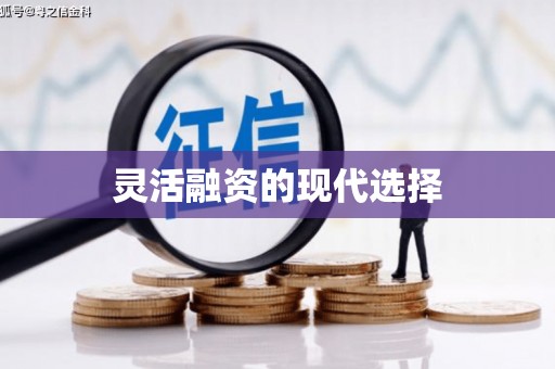 枋寮灵活融资的现代选择