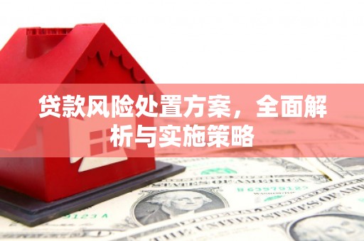 枋寮贷款风险处置方案，全面解析与实施策略