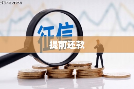 枋寮提前还款