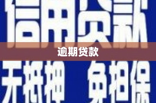 枋寮逾期贷款