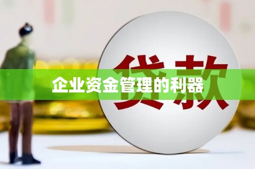 枋寮企业资金管理的利器