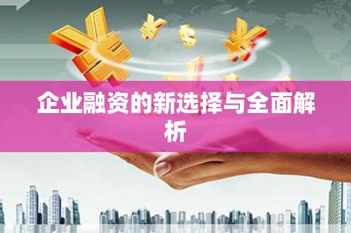 枋寮企业融资的新选择与全面解析