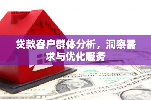 枋寮贷款客户群体分析，洞察需求与优化服务